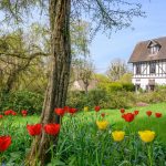Le Jardin